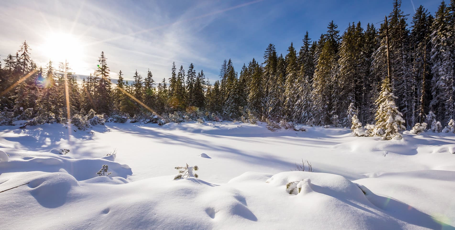 Winterlandschaft Filzmoos (c) TVB Filzmoos / Coen Weesjes